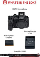 Canon Câmera mirrorless EOS R7 (apenas corpo), câmera híbrida, sensor CMOS de 32,5 megapixels (APS-C), vídeo 4K, para esportes, ação, criadores de conteúdo, câmera de vlog, preta
